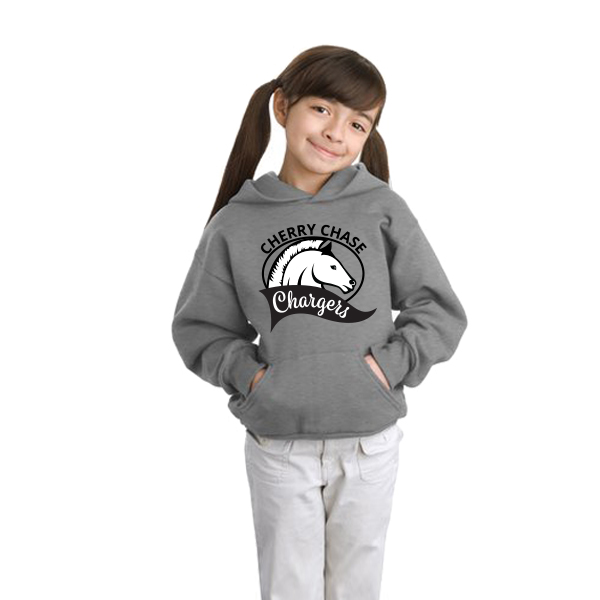 * Youth  Pullover Hoodie (Red or Light Steel)